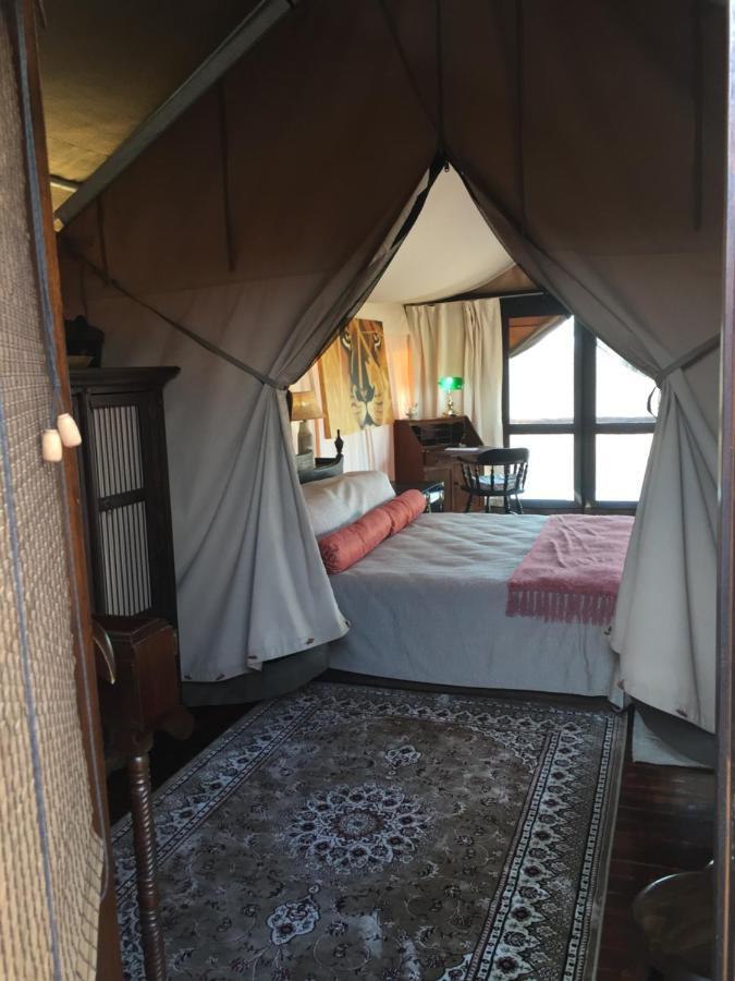 Out In Africa Wildlife Lodge Hammanskraal Ngoại thất bức ảnh