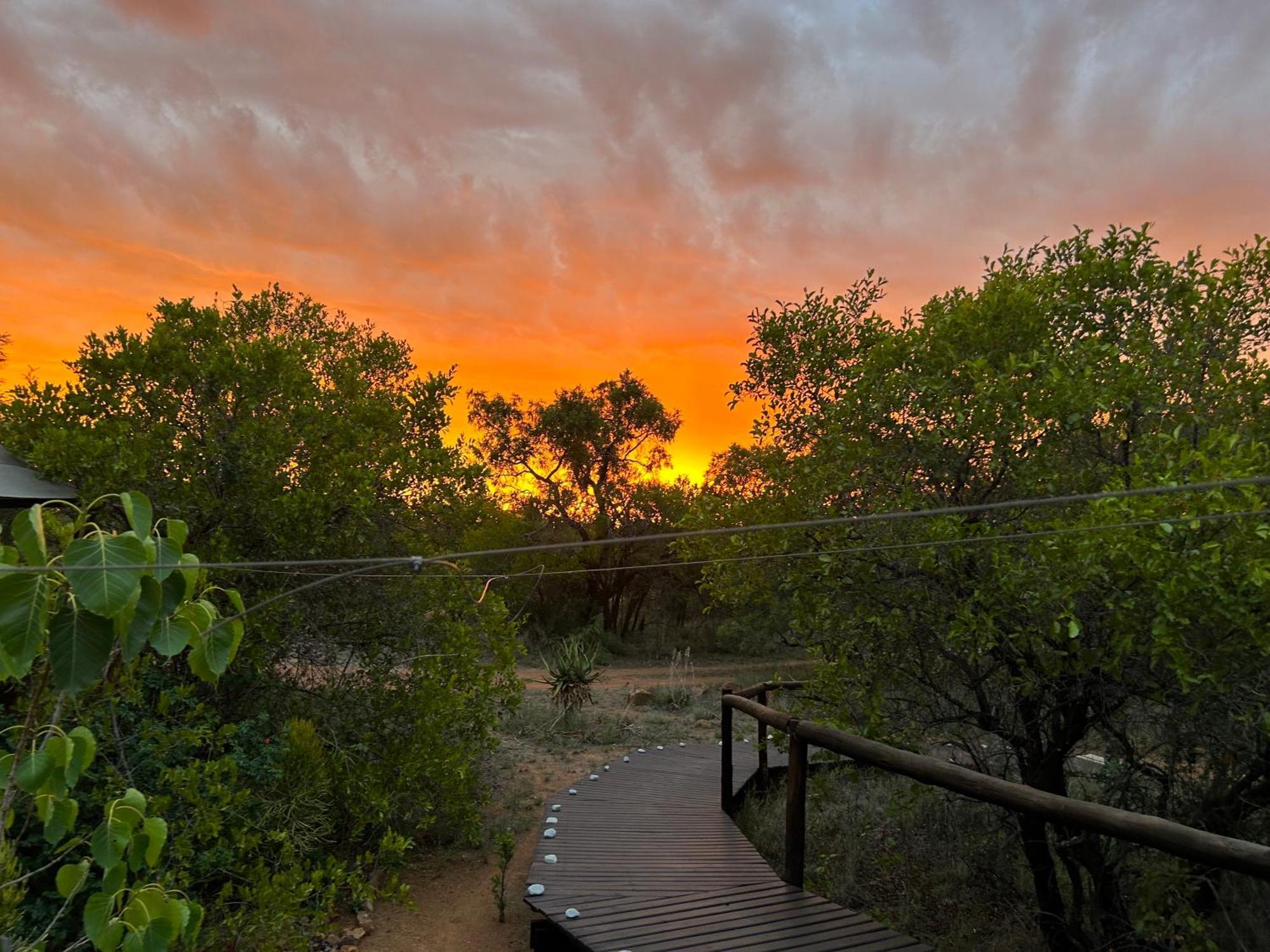 Out In Africa Wildlife Lodge Hammanskraal Ngoại thất bức ảnh